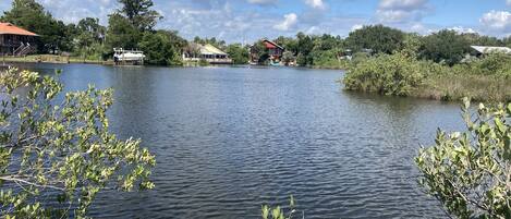 View from the front yard