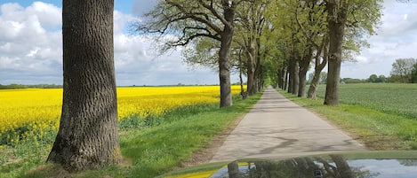 Site dâintĂ©rĂȘt