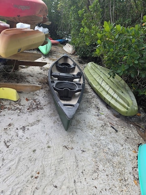Kayaks and Canoe