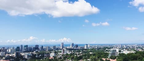 Brunch views!