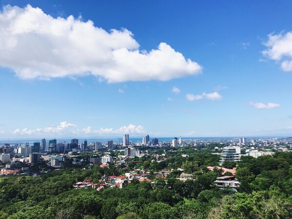 Brunch views!