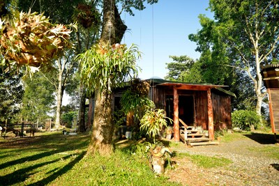 The Round cottage located in  rural Filandia.