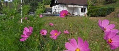 La façade est de la maison en été avec terrain attenant.