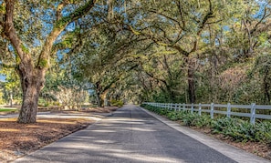 Gorgeous tree-lined and beautifully landscaped private roads.