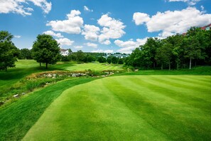 Play 18 holes while enjoying the beauty of the Ozarks-Resort guests enjoy heavily discounted rates on golf