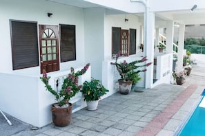 Cleopatra Apt-4 (5)