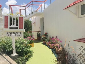 Cleopatra Apt-7 (4)