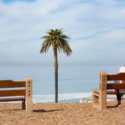 Relax, you are on vacation