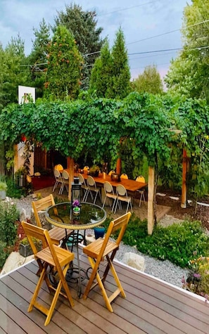Beautiful, relaxing outdoor dining. Enjoy fresh organic grapes while in season 