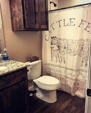 Hall bathroom. Shower/tub combo