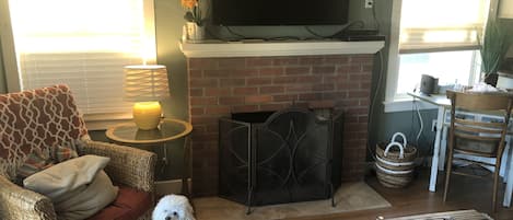 Our dog Barkley watching the tv....dog not included in rental.  :)