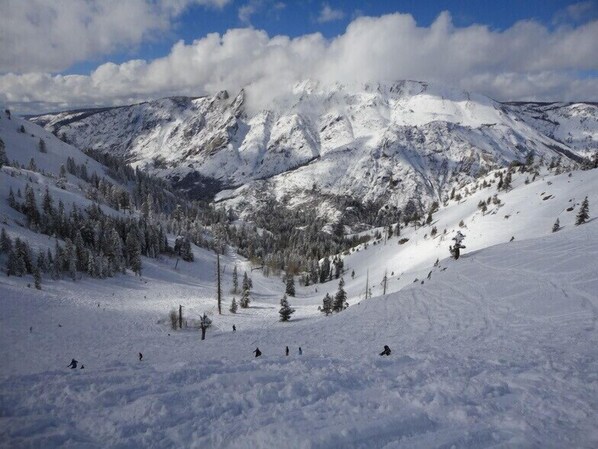 Bear Valley Ski Resort