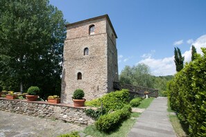 Garden, Outdoor