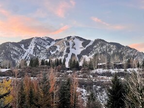Direct View of Aspen (Ajax) Mountain from deck and Primary.  5 min drive to base