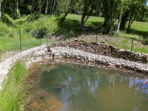 Ressources En Eau, Banque, L'Eau, Étang, Cours D'Eau, Riparienne, Étang À Poissons, Voie Navigable, Herbe, Ripisylve