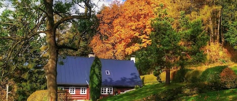 Pflanze, Wasser, Eigentum, Möbel, Gebäude, Tabelle, Fenster, Azurblau, Stuhl, Interior Design