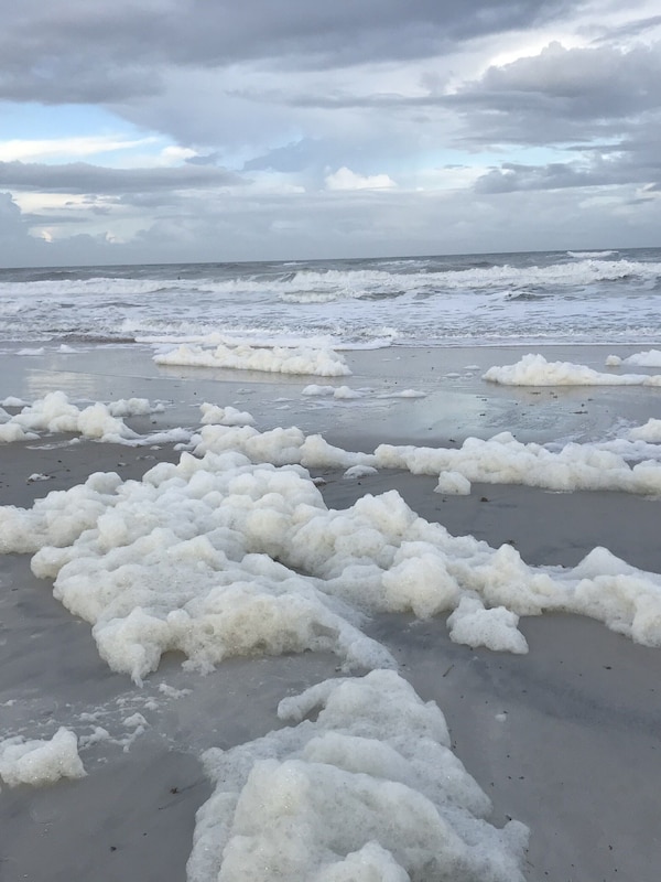 Foamy day at the end of the street as Hurricane Eta makes its way by.
