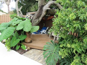 Deck under giant live oak tree. Perfect for yoga or just thinking about life.