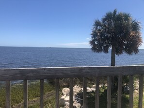 Wake up and enjoy this view!