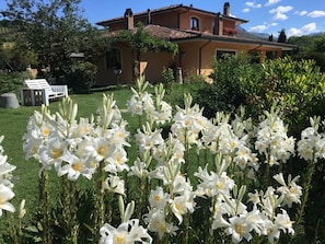 Boendeområde