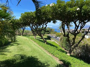 ocean views and green belt