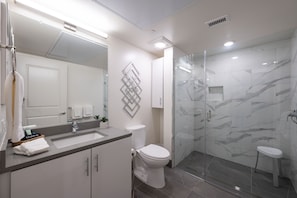 Spacious, well-lighted Bathroom with Designer-style finishes.