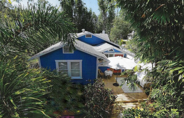 The backyard viewed from the Treehouse Studio