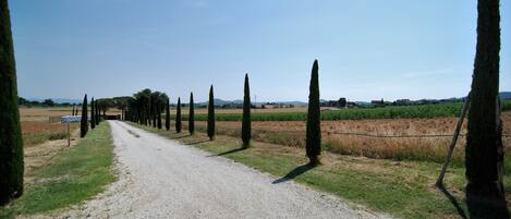 Parco della struttura