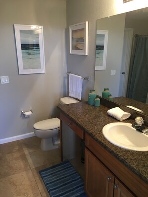 Guest bathroom