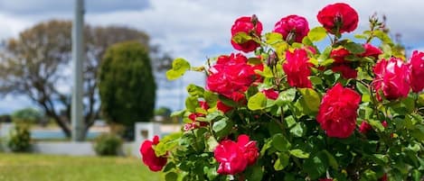 Jardines del alojamiento