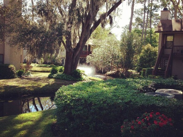 Property grounds