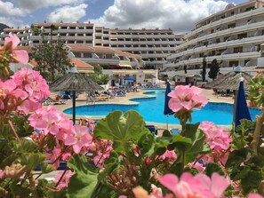 Large Heated pool