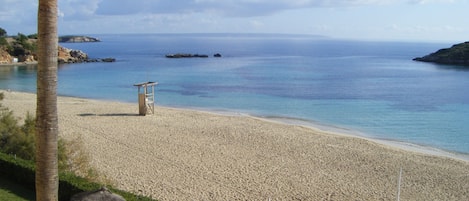 View from the terrace