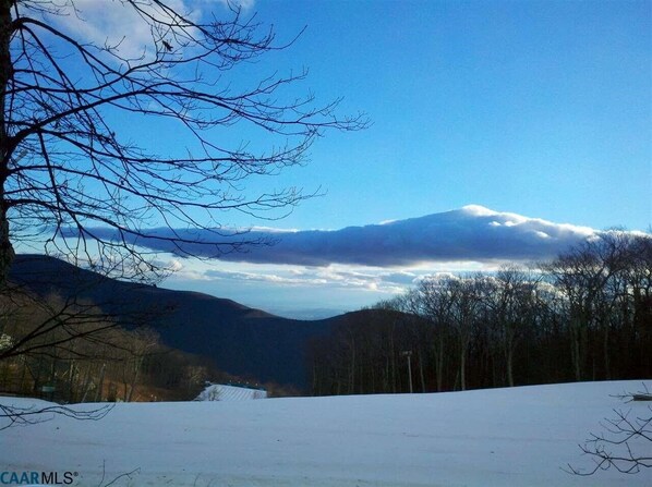 View from the rear deck, looking down-slope of Eagles Swoop.  