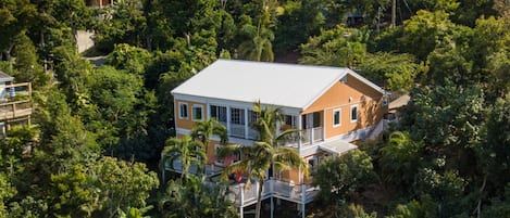 House and yard aerial