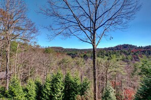 Deck view