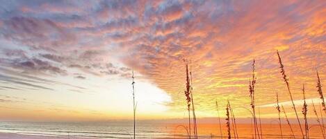 Sunset views on the beach