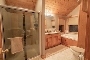 Master bath with shower and jetted tub