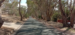 Leading to Treetops Escape