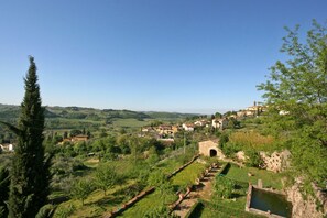 Scenic View