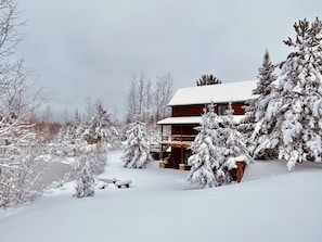 More gorgeous views of the pond and trees in Winter!
