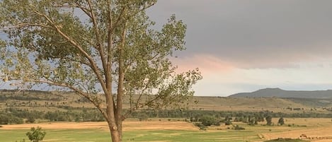 Amazing views from our patio and backyard.