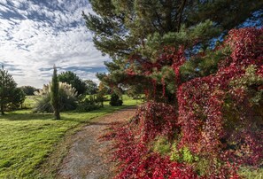 Secluded walking route only available to guests and the hosts, that dates back to medieval times
