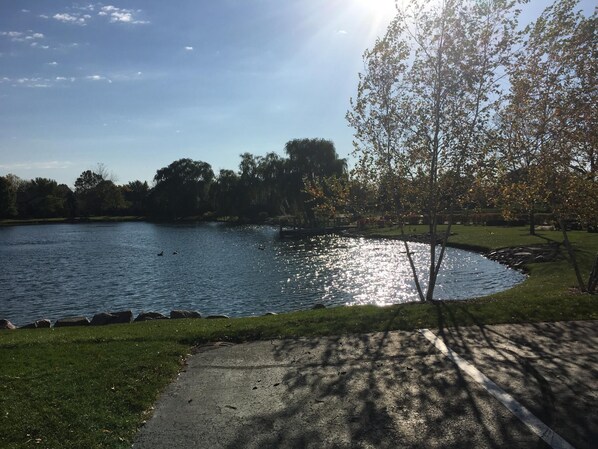 Parco della struttura