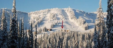 Sneeuw- en skisporten