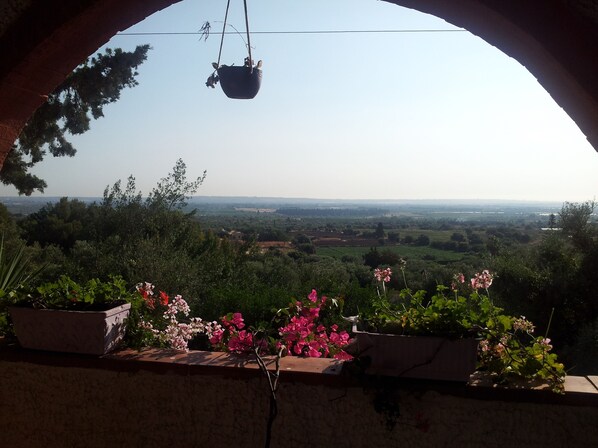 Vue depuis l’hébergement