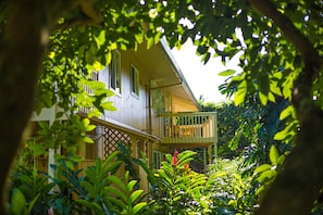 Lush Surroundings and Complete Privacy