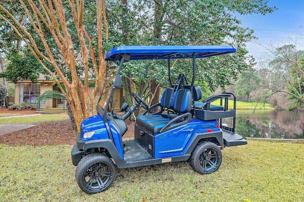 New Golf Cart