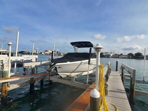 Fish off your private dock or join Capt Al on this new Cobalt boat