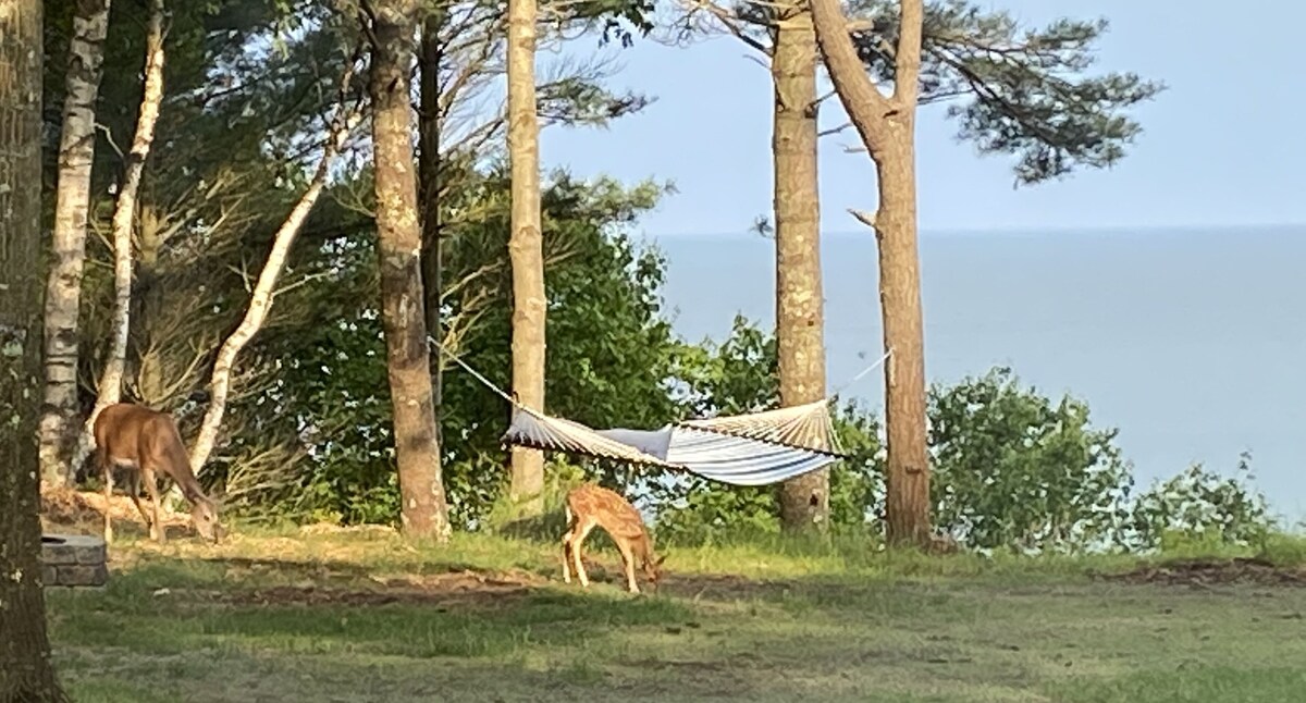Lake Michigan summer fun home!